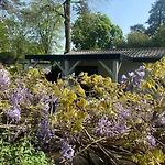 't Tjilpplekje, 4-persoons Met Prive Hottub 木屋