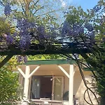't Tjilpplekje, 4-persoons Met Prive Hottub 木屋
