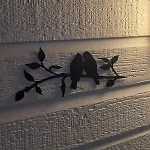 't Tjilpplekje, 4-persoons Met Prive Hottub 木屋 *