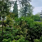 't Tjilpplekje, 4-persoons Met Prive Hottub 木屋 *
