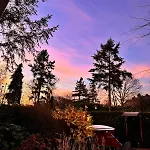 't Tjilpplekje, 4-persoons Met Prive Hottub 木屋