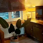 't Tjilpplekje, 4-persoons Met Prive Hottub 木屋