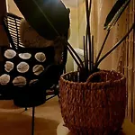 木屋 't Tjilpplekje, 4-persoons Met Prive Hottub *