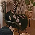 木屋 't Tjilpplekje, 4-persoons Met Prive Hottub 福尔特赫伊曾