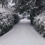 't Tjilpplekje, 4-persoons Met Prive Hottub 木屋