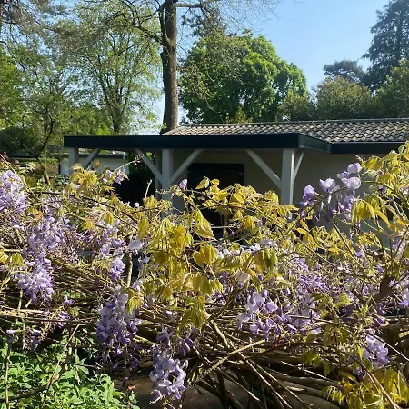 't Tjilpplekje, 4-persoons Met Prive Hottub Chalet