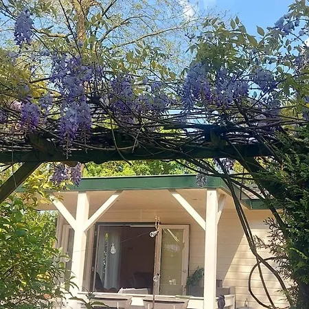 't Tjilpplekje, 4-persoons Met Prive Hottub Chalet
