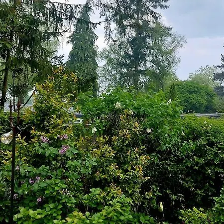 't Tjilpplekje, 4-persoons Met Prive Hottub Horská chata *