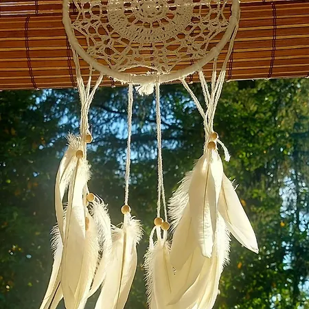 't Tjilpplekje, 4-persoons Met Prive Hottub Chalé *