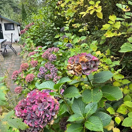 't Tjilpplekje, 4-persoons Met Prive Hottub