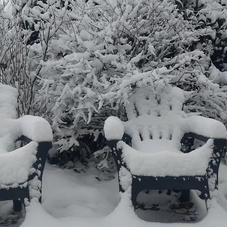 't Tjilpplekje, 4-persoons Met Prive Hottub * Voorthuizen