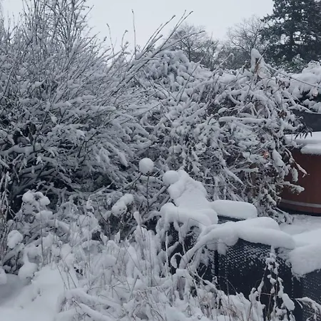 't Tjilpplekje, 4-persoons Met Prive Hottub Horská chata