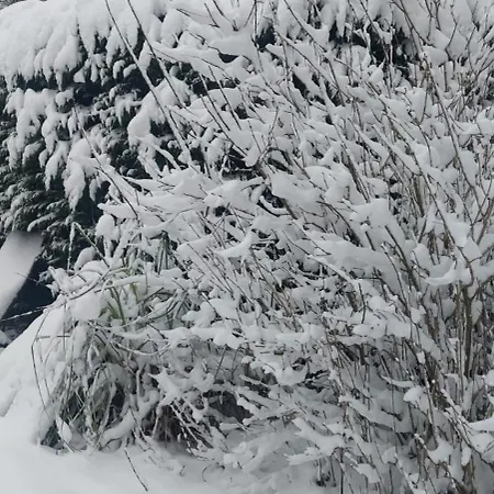 't Tjilpplekje, 4-persoons Met Prive Hottub Alpehytte