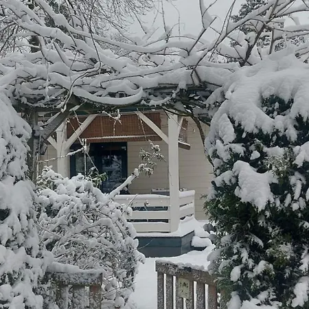 't Tjilpplekje, 4-persoons Met Prive Hottub Alpehytte *