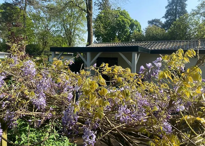 't Tjilpplekje, 4-persoons Met Prive Hottub Alpehytte