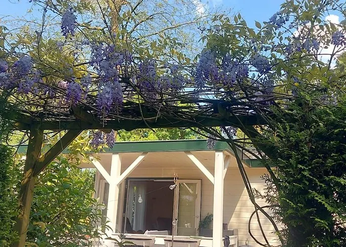 't Tjilpplekje, 4-persoons Met Prive Hottub Alpehytte