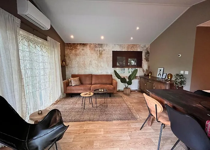 't Tjilpplekje, 4-persoons Met Prive Hottub Alpehytte Voorthuizen