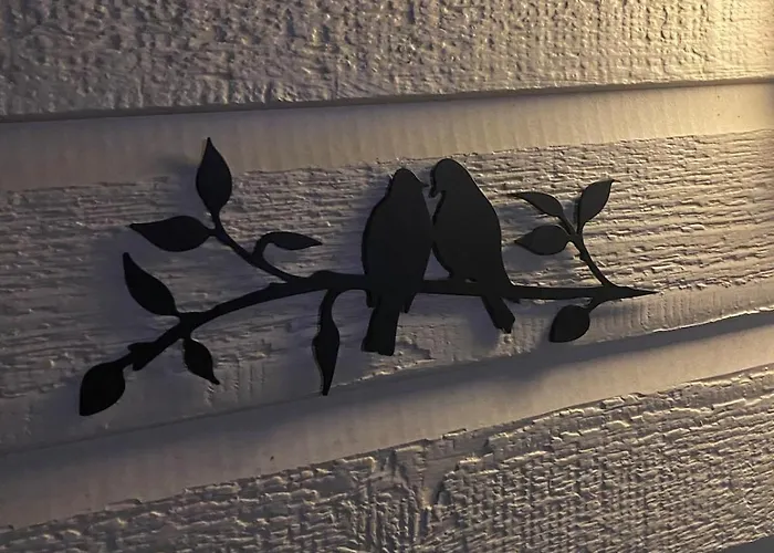 't Tjilpplekje, 4-persoons Met Prive Hottub Alpehytte *