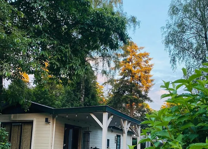 't Tjilpplekje, 4-persoons Met Prive Hottub