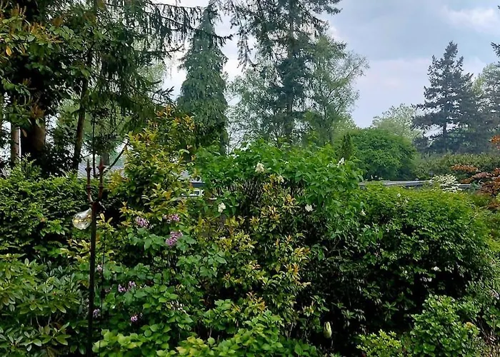 't Tjilpplekje, 4-persoons Met Prive Hottub Alpehytte *