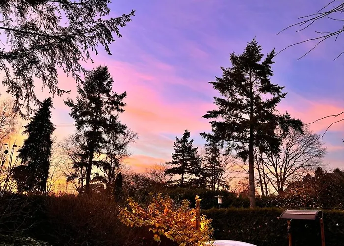 't Tjilpplekje, 4-persoons Met Prive Hottub Alpehytte