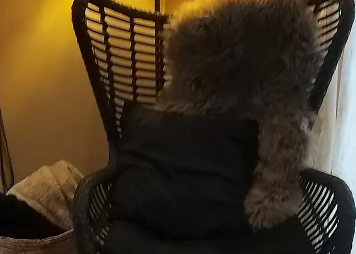 't Tjilpplekje, 4-persoons Met Prive Hottub