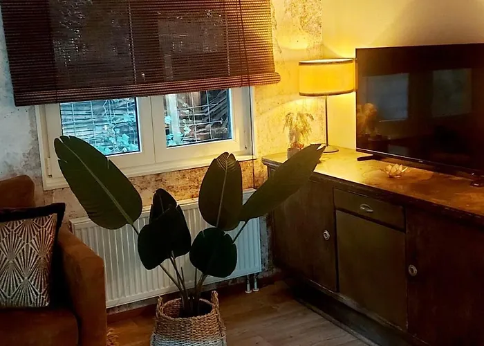 't Tjilpplekje, 4-persoons Met Prive Hottub Horská chata