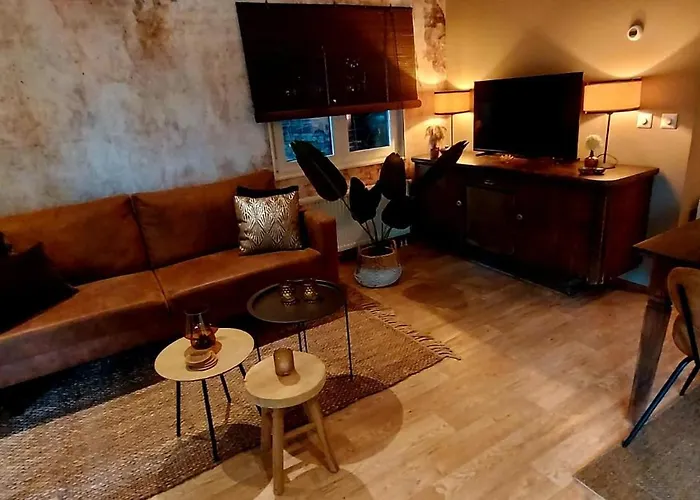 't Tjilpplekje, 4-persoons Met Prive Hottub Alpehytte Voorthuizen