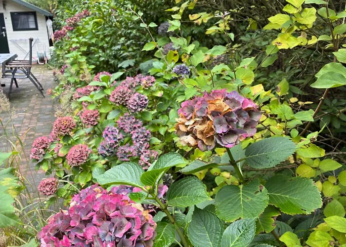 't Tjilpplekje, 4-persoons Met Prive Hottub