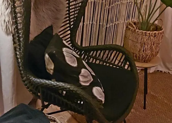 Alpehytte 't Tjilpplekje, 4-persoons Met Prive Hottub Voorthuizen