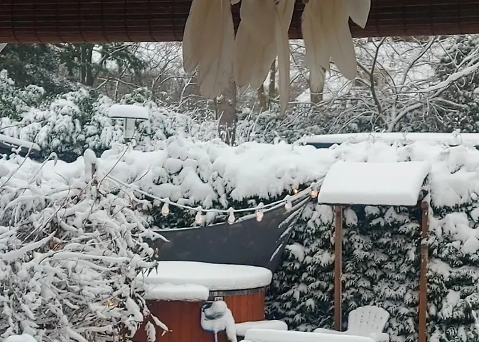 't Tjilpplekje, 4-persoons Met Prive Hottub Voorthuizen