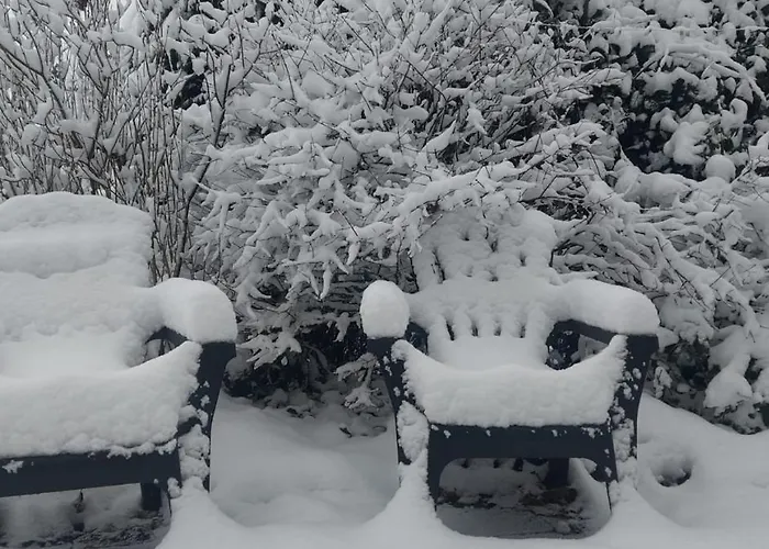't Tjilpplekje, 4-persoons Met Prive Hottub * Voorthuizen
