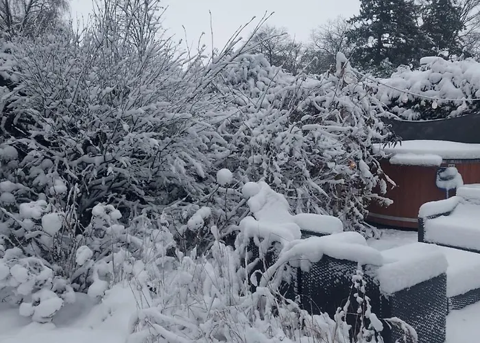 't Tjilpplekje, 4-persoons Met Prive Hottub Alpehytte