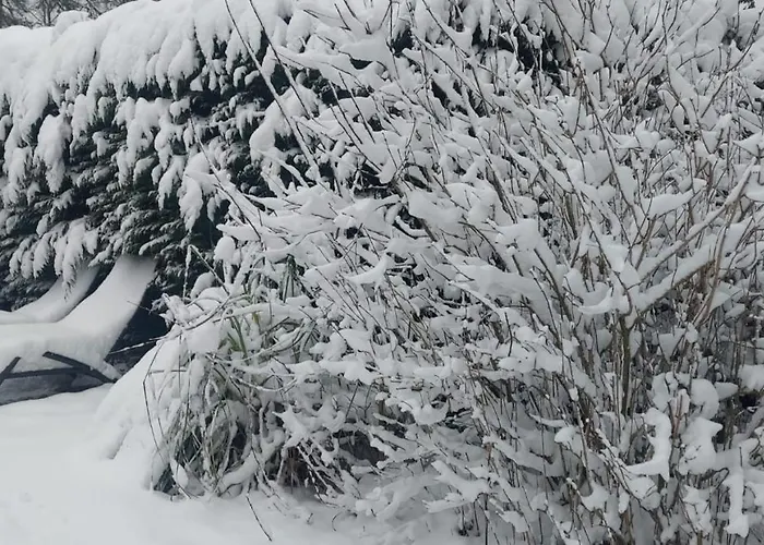 't Tjilpplekje, 4-persoons Met Prive Hottub Horská chata